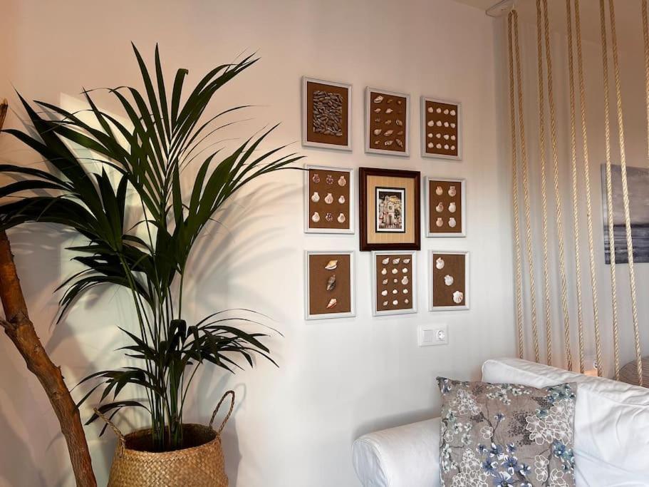 Ocean Dream Apartments - Lovely Sea View Studio Apartment 5Min From Beach San Marcos  Bagian luar foto